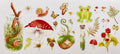 Flowers & Mushrooms Cup Decal – Design #40