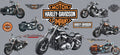 Harley Davidson Cup Decal – Design #137